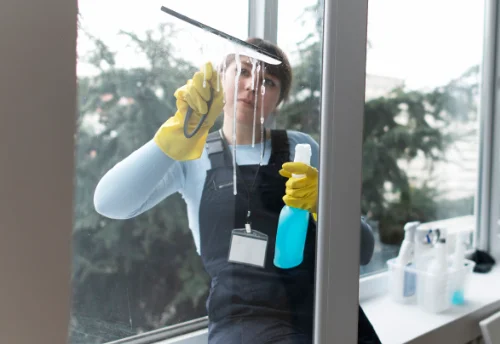 Nettoyage de vitres intérieures et extérieures à Saint-Christophe-Vallon